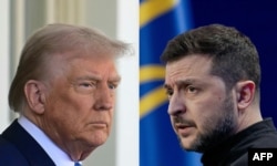 Дональд Трамп и Владимир Зеленский