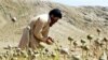 Pakistan Makes Major Drugs Haul