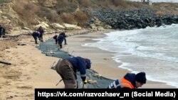Представители российской спасательной службы Севастополя устанавливают на побережье препятствия для мазута из российских танкеров, потерпевших крушение в Керченском проливе 15 декабря 2024 года, 17 января 2025 года