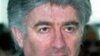 'Time To Test The Karadzic Myth'