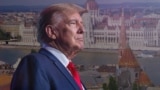 Дональд Трамп, коллаж