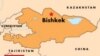 Kyrgyz NGO Leader Reportedly Shot, Wounded